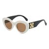 JYL TS Sunglasses Cat Eye Large Frame UV Travel/WF1209