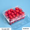 Clear Plastic Disposable Fruit Box with Lid for Strawberries