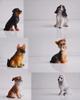 12 Pcs Miniature Dog Puppy Resin Craftwork Decorations Dollhouse Decoration Pet decorations
