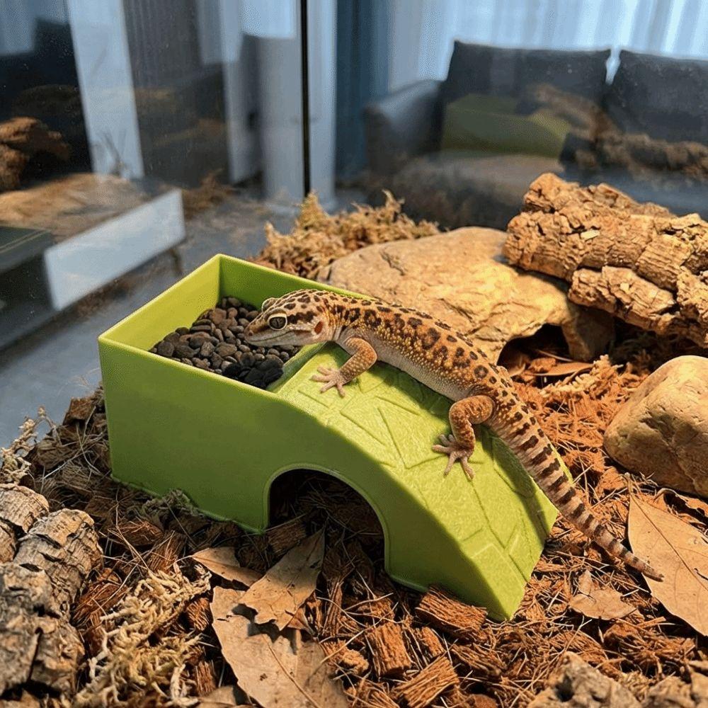 Anti Drowning Reptile Hideout Cave Plastic Automatic Feeding Plate  Turtle Tank Ornaments