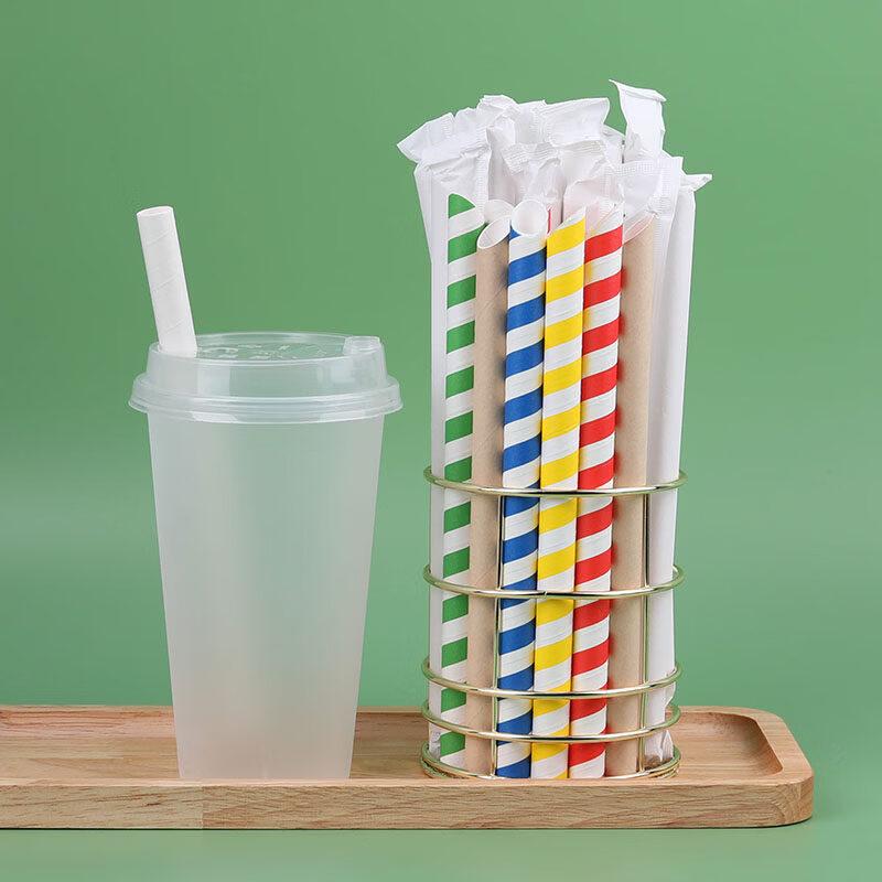 ZISIZ Biodegradable Colorful Paper Straws