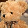 1pc 45cm Cute Shy Bear Plush Toys Stuffed Soft Animal Bear with Clothes Pillow for Children Girls Valentine's Gift