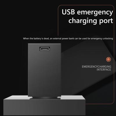 Türgriff Entriegelung Fingerabdruck Türschloss Fingerabdruck Elektronisch Zinklegierung Halbleiter Intelligenter Griff Türschloss Schlüssel