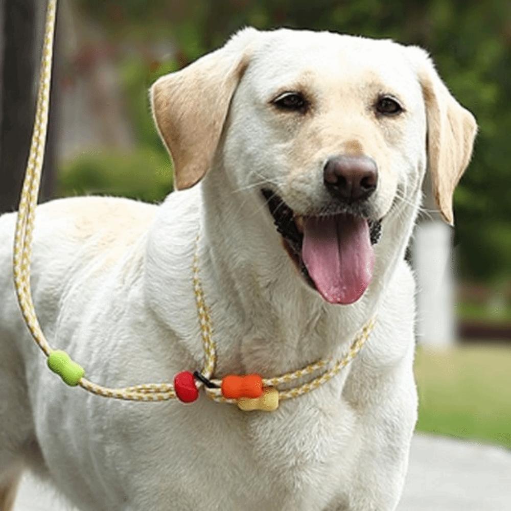 Anti-Pull Dog Harness and Leash Adjustable P Chain Leash Dog Collar Leash  Daily Use