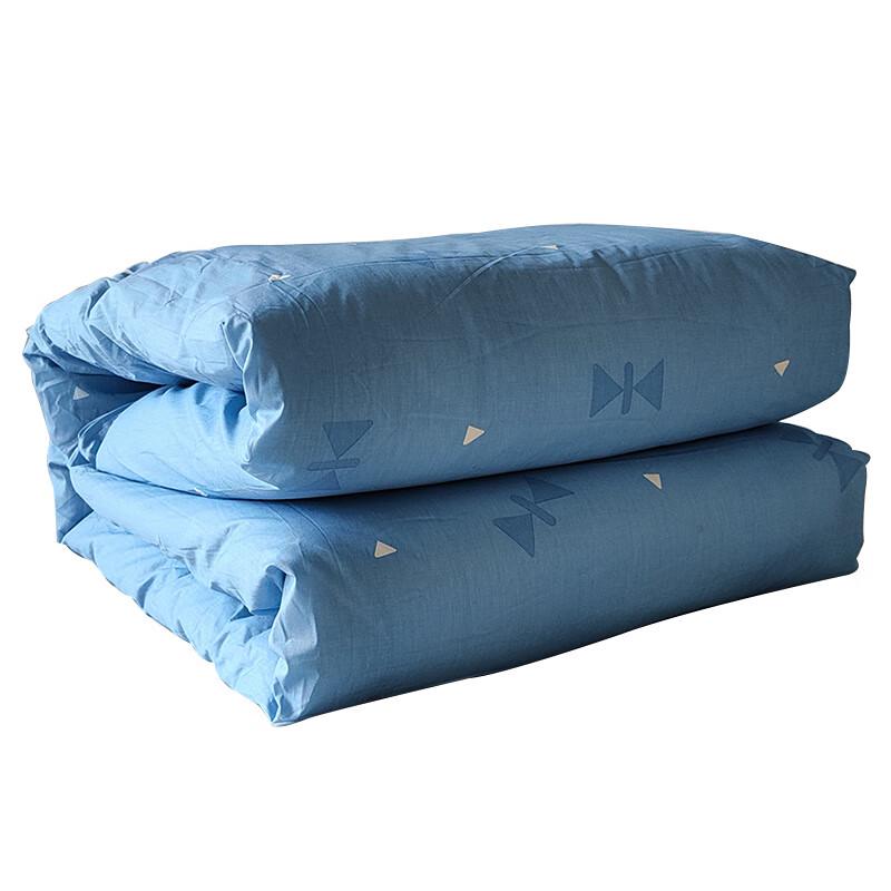 Emergency Winter Cotton Quilt