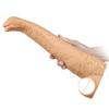 Discover Sensual Depths: 3 - Size Dino - Headed PVC Aids, Textured for Immersive Tingling Pleasure