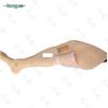 Hongyan Adult Lower Limb Bone Marrow Puncture & Intraosseous Infusion Model