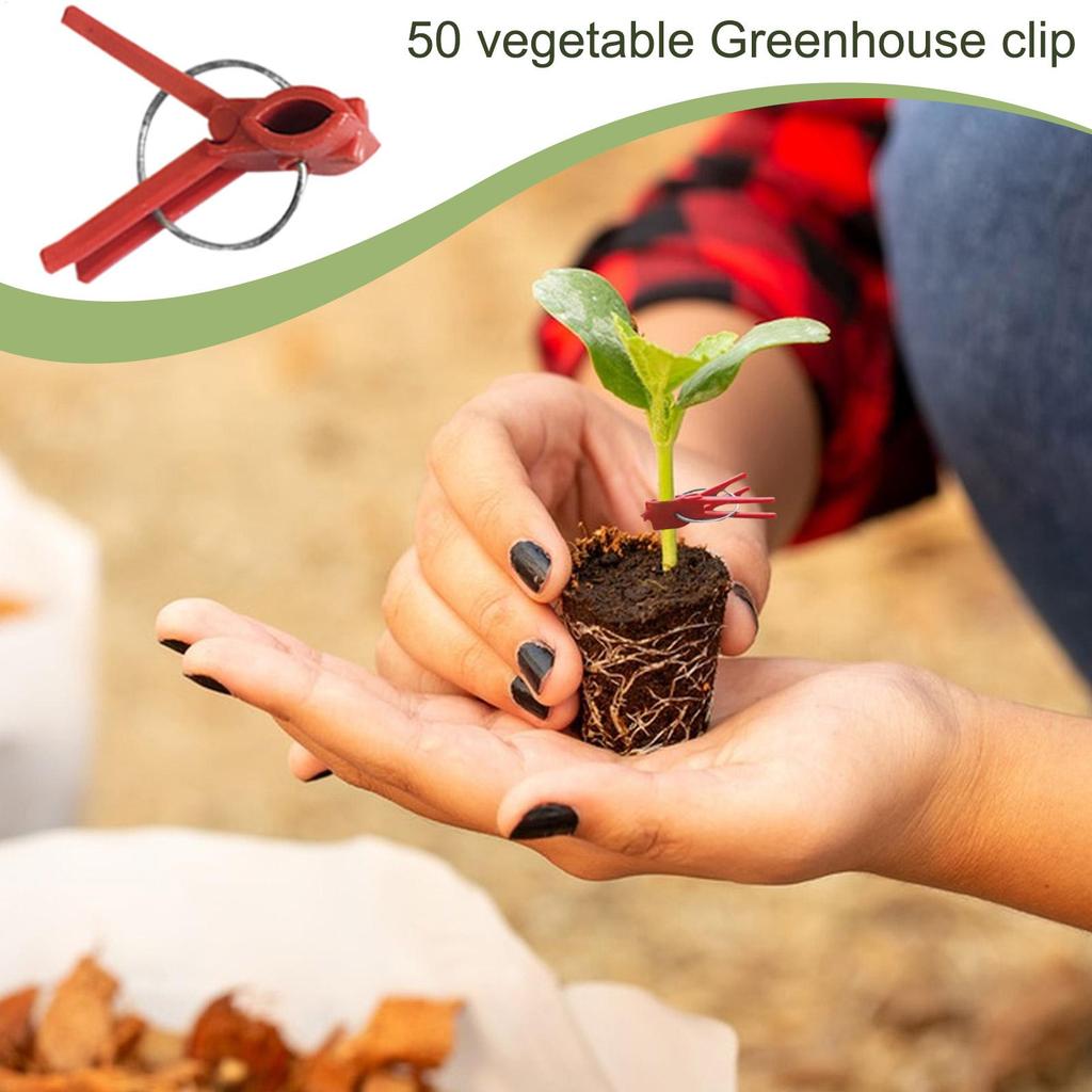 Vegetable Grafting Clips 50 Pcs Plant Trellis Connector Clip Falt Mouth Hooks Connecting Plastic Clips For Watermelon Gardening