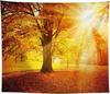 Landscape Tapestry Autumn Season Fall Trees with Morning Fog in Forest Relaxing Art Nature Photo Home Wall Hanging Decro for