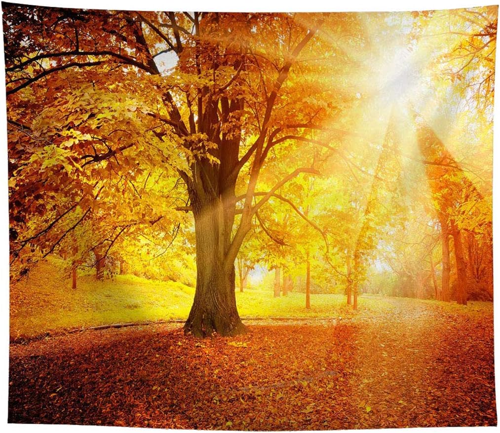 Landscape Tapestry Autumn Season Fall Trees with Morning Fog in Forest Relaxing Art Nature Photo Home Wall Hanging Decro for
