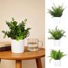 Green Simulation Plant Potted Green Grass Lifelike Grass Flowerpotted Desktop Ornament  Windowsill