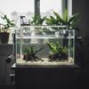 Powerful Suction Aquarium Water Changer Detachable Fish Poop Cleaner Filter  Gravel Cleaning