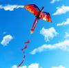 Pteranodon Kite, Ideal for Adults and Teens, Perfect for Beginners, Easy To Assemble and Operate, Includes Storage Bag, Perfect for Outdoor Leisure