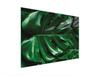 SZKLANA DESKA DO KROEJNIA 30x22 MONSTERA