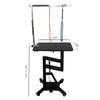 Pet Grooming Table Lift & Rotate Air-Pump Hydraulic Dog Cat Beauty Desk 360° Swivel 80×50 cm Non-Slip Top for Small-Medium Large