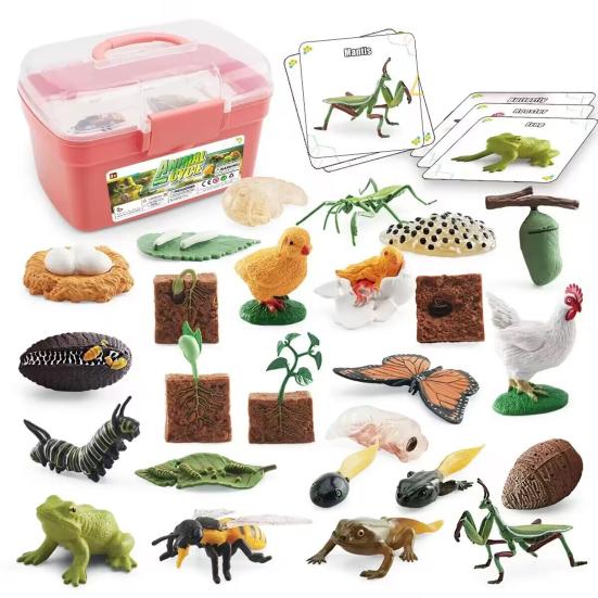 1 Set Life Butterfly Cycle Learning Toys Frog Bee Chicken Mantis Figurines Plants Educational for Kids