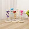 Eternal Flower Plastic Glass Cover Gold Foil Rose Simulation Flower, Holiday Creative Gift Ornament, Direct Supply