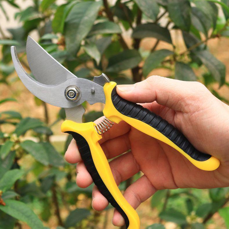 Garden Pruning Shears: Flower, Fruit Tree, and Bamboo Trimming
