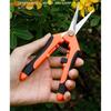 Garden Shears Set With Stainless Steel Blades For Pruning Fruit Trees And Garden Use