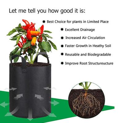 Non-woven Planting Bag Outdoor Garden Pot Large with Reinforced Handles Plant Capacity Breathable Tomato