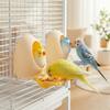 Eggshell Bird Bird Food Dispenser Bite Resistant Bird Standing Stick  Cage Accessory
