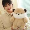 Otter Chubby Koala Plush Doll Korean Piggy Doll Boy Girl Birthday Gift Throw Pillow