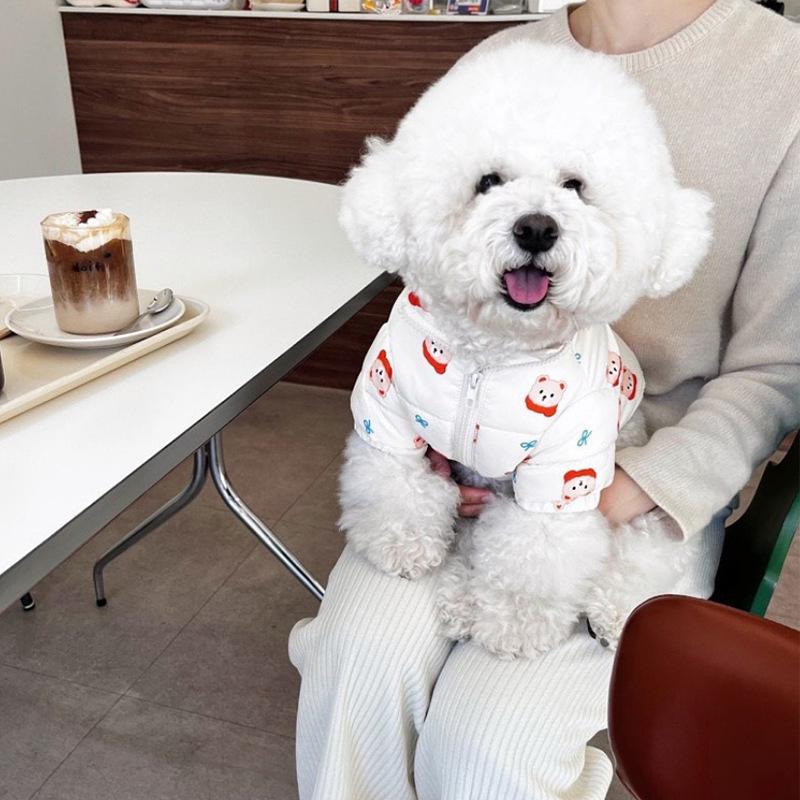 Niedliche Haustierkleidung mit Tierbär-Aufdruck, Wintermantel aus Baumwolle für kleine Hunde, Teddy, warmer Daunenmantel, Cartoon-Muster, Kleidung für zweibeinige Hunde