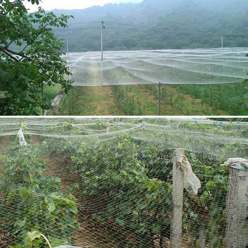 1.5cm Net Hole Anti Bird Bird-Preventing Net Netting Mesh For Fruit Crop Plant Tree Garden Black Nylon Anti Bird Net Mesh 15x3m