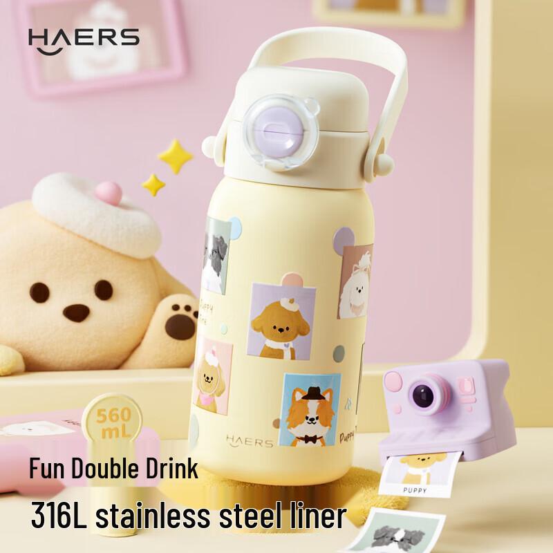 HAERS Portable Insulated Straw Cup 560ml