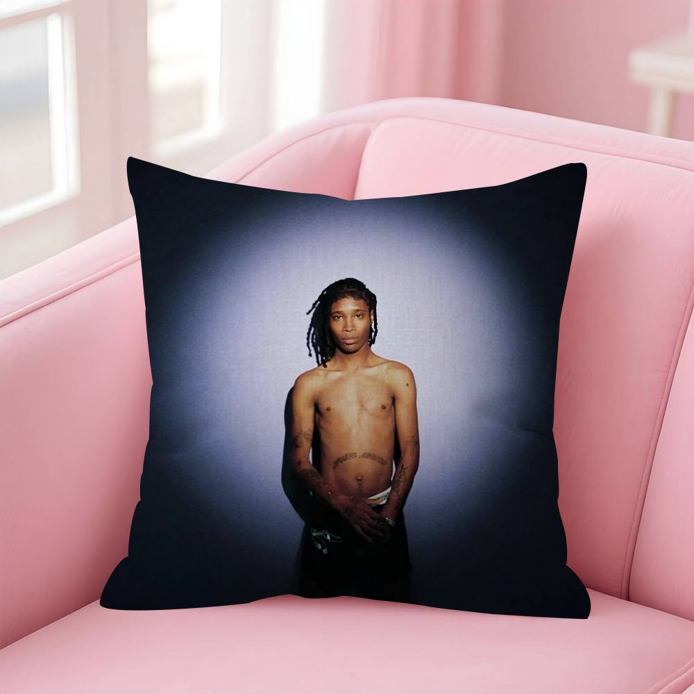 

Pillow Covers Cartoon Sofa Decorative Home Doublesided Printing Short Plush Cute Cushion Cover Singer NNine Vicious 30x30 cm