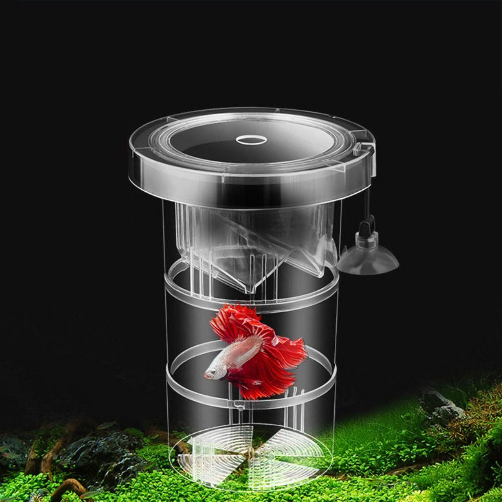 Suction Cup Floating Hatching Box Semi-transparent Aquarium Breeder Feeder  Aquarium