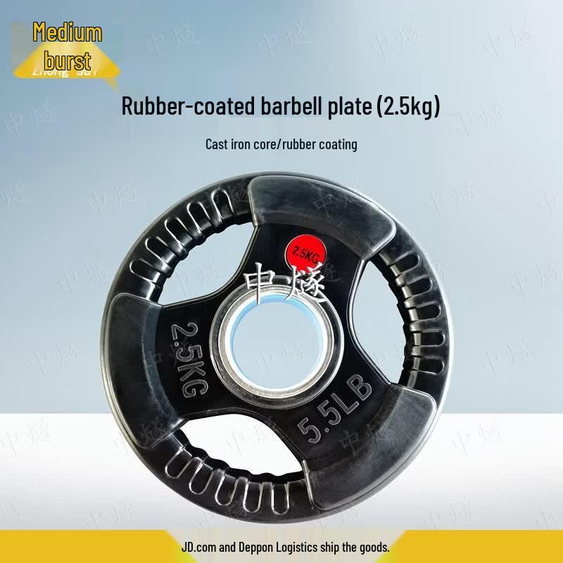 ZhongSui Coated Cast Iron Barbell Plate