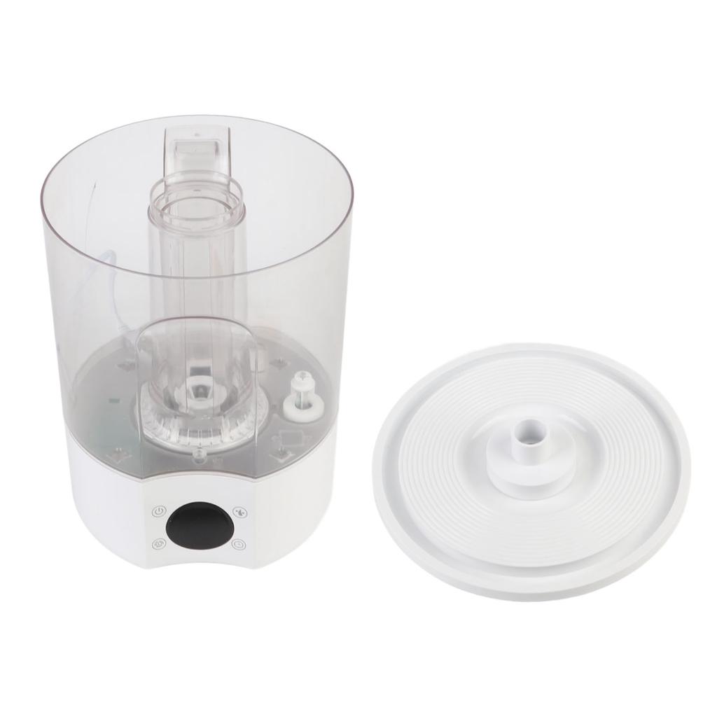 Reptile Fogger Quite Compact Bat Reptile Fogger Terrariums Humidifier