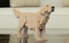 JEKCA Jekka Block Golden Retriever Beige 02S-M03
