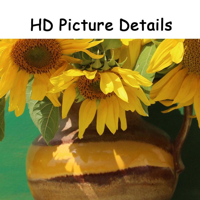 Abstract Canvas Painting Flower Oil Painting Wall Art Pictures Sunflower Posters for Living Room Cuadros Home Decor Unframed