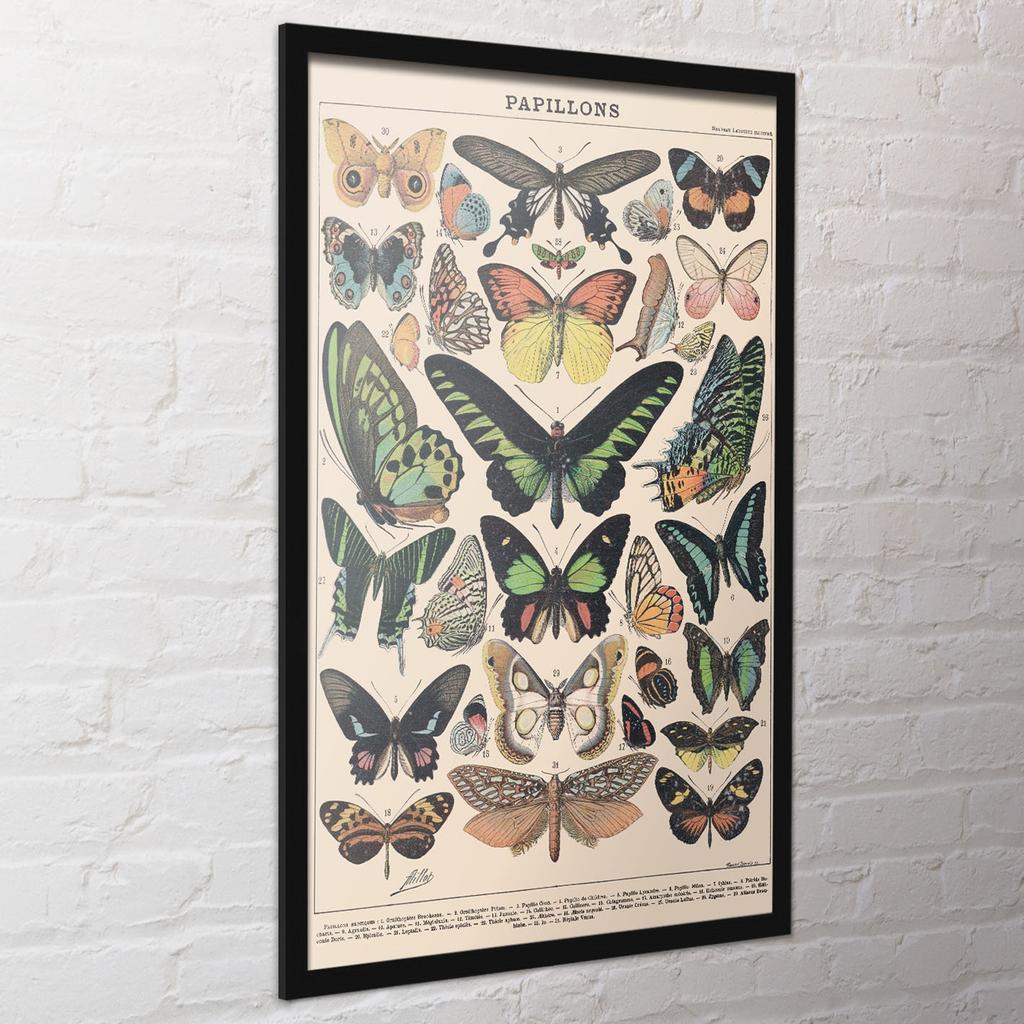 Adolphe Millot Papillon Print