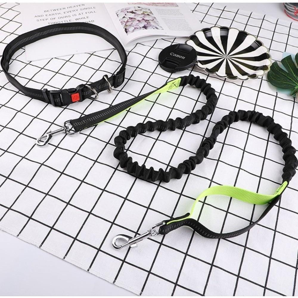 Double Stretch Running Dog Leash Reflective Dog Traction Rope Pet Walking Leash  for Dogs Cats