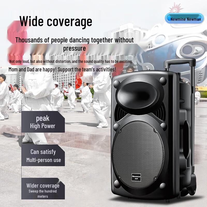Newsmy 12-inch Outdoor Bluetooth Trolley Speaker
