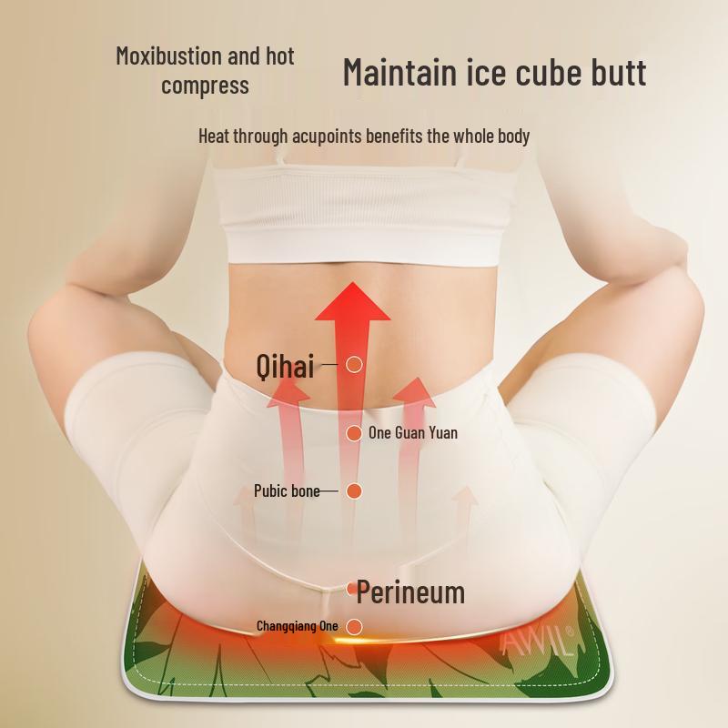 

Aixiutang C1Pro Multi-use Wormwood Heating Cushion