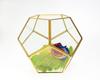 Nordic Geometric Glass Preserved Flower Decor for Home, Coffee Shop, or Wedding