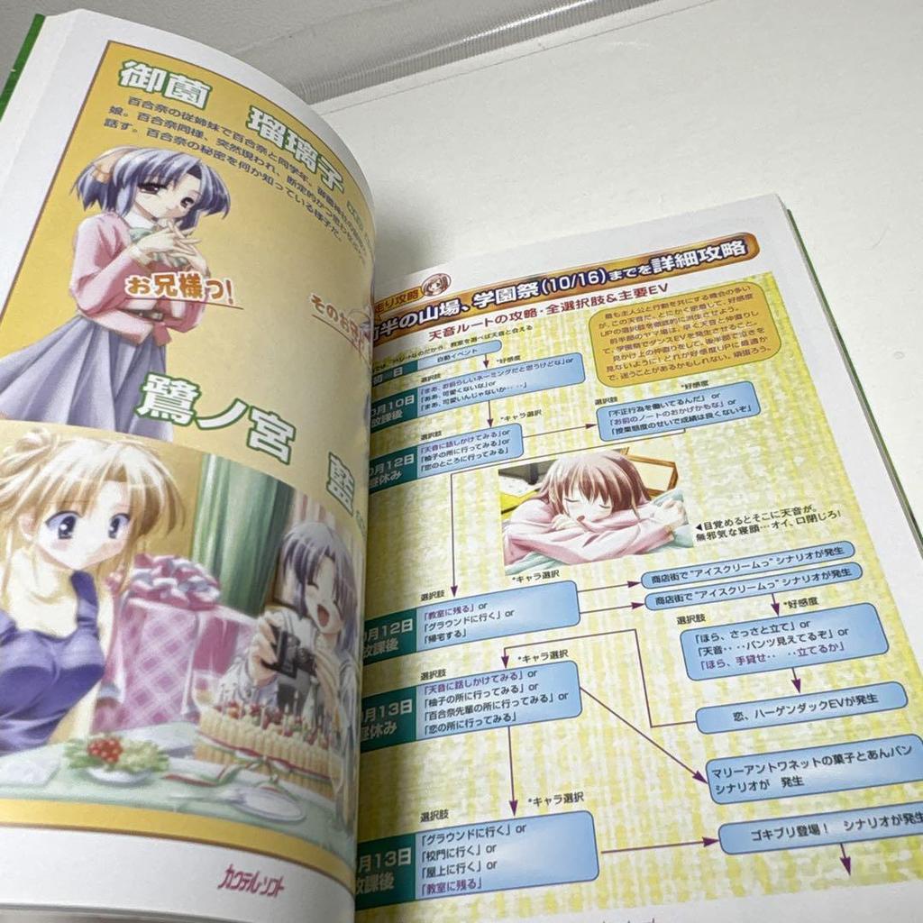 [USED] PC Beautiful Girl Software Strategy Selection F&C Elf Special