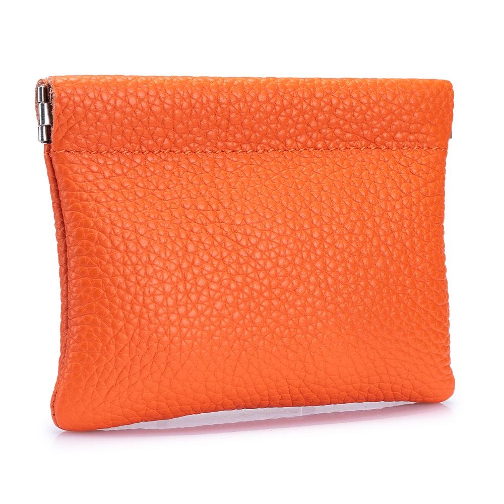 

Женский мини-кошелек из кожи с пружинным зажимом - Чехол для хранения наушников и монет