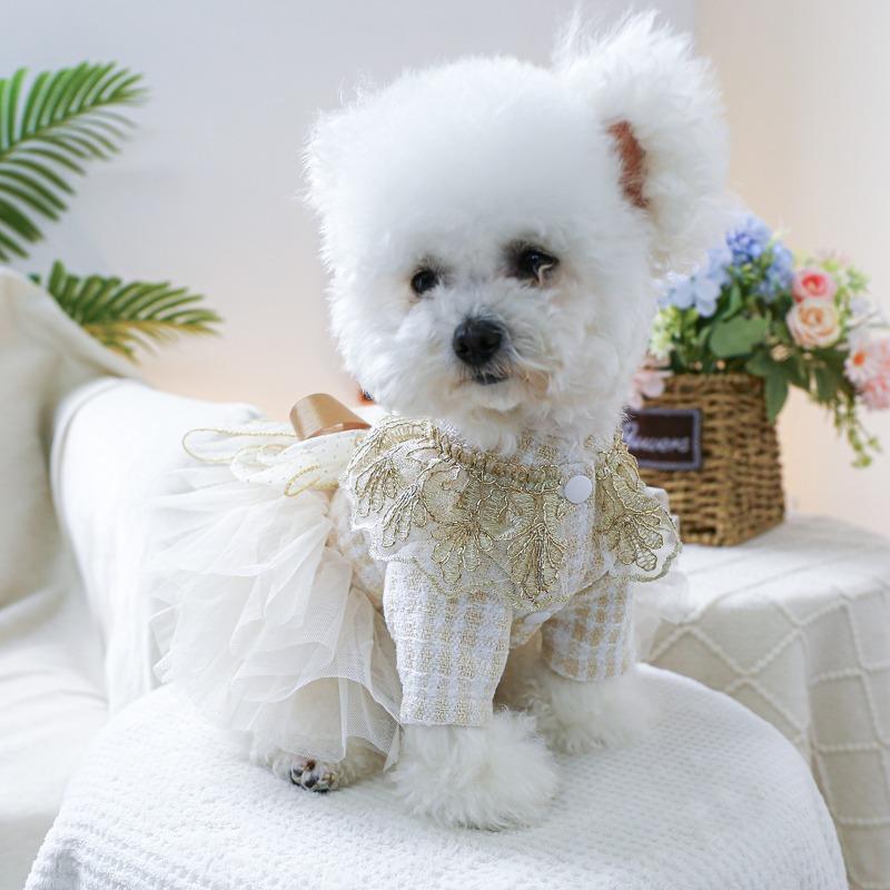 Pet Circle, Pet Clothing Dog Cat Clothing Princess Dress Dream Star Dress
