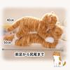 Cuscino corporeo peluche gatto tigrato marrone calico texture realistica bianco nero soffice morbido cuscino regalo giocattolo coccole articoli vari articoli moe