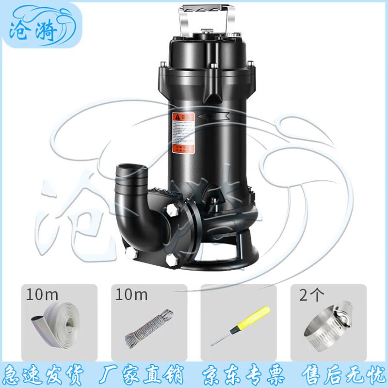 Cangyi Emergency Industrial Drainage Pump