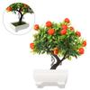 Orange Tree Diameter 22cm Green Non Toxic Brand New