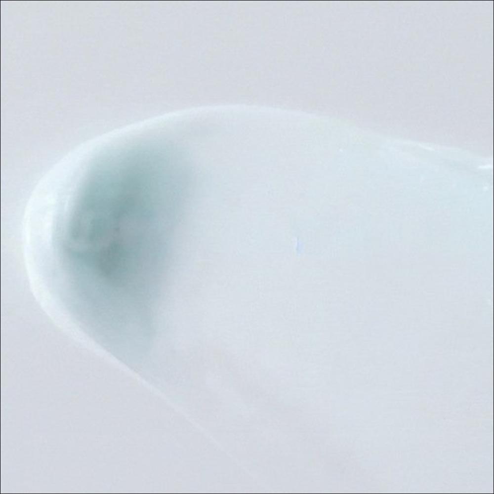 WELLAGE Real Hyaluronic 100 Cream 80ml – Intensive Hydration Cream