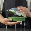 Reusable Avocado Space Saving Container - Keep Your Vegetables Fresher for Longer!