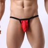 Men's Sexy Mesh Lace Transparent Underwear Sexy Transparent  Low Waist Briefs