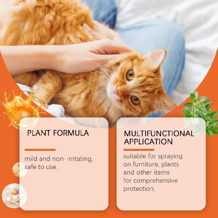 Odpuzovače koček Spreje Zastavte škrábání pro trénink koťat v interiéru Zachraňte nábytek